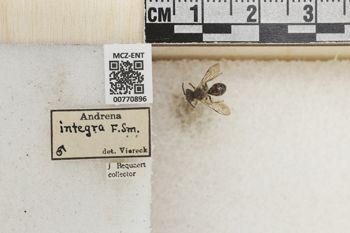 Media type: image;   Entomology 770896 Aspect: Labels